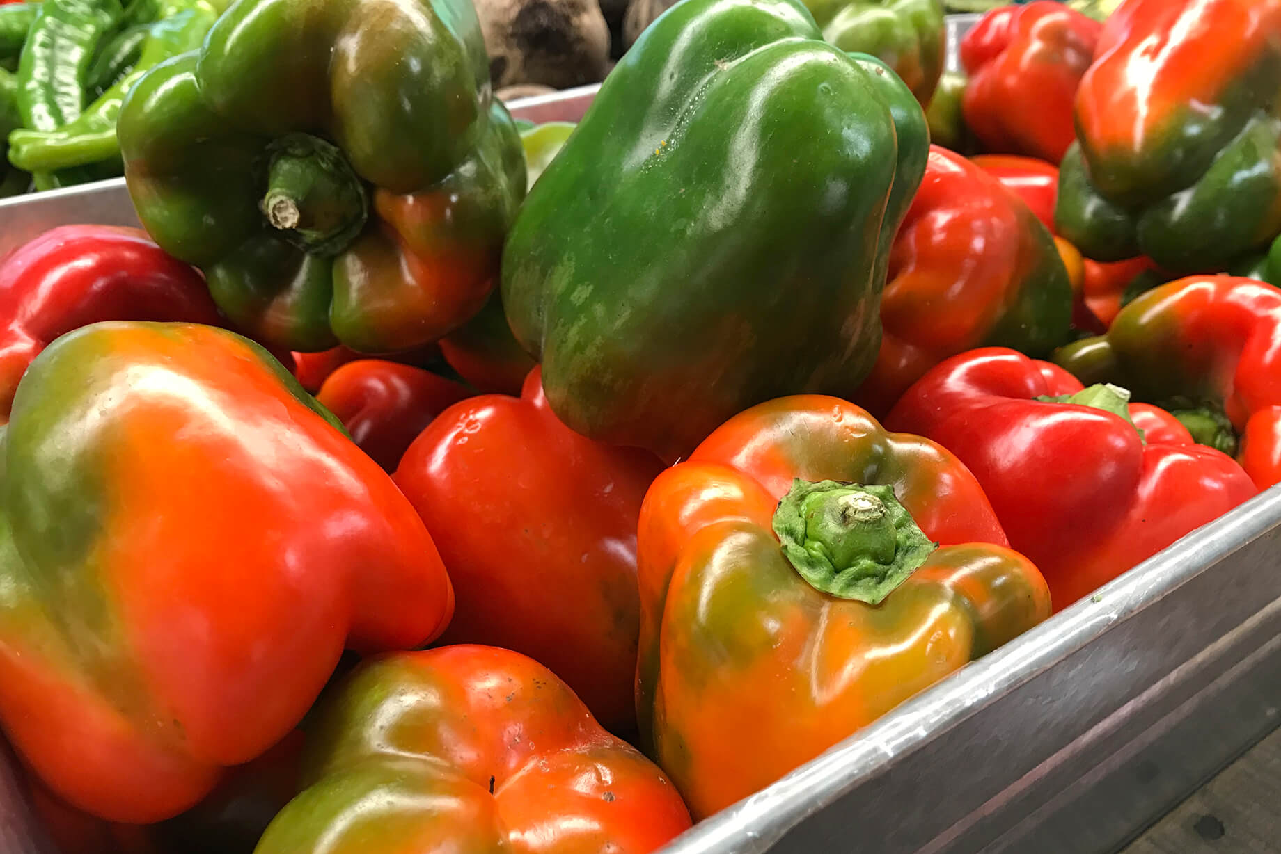 Red bell peppers are in season right now at the farmers market