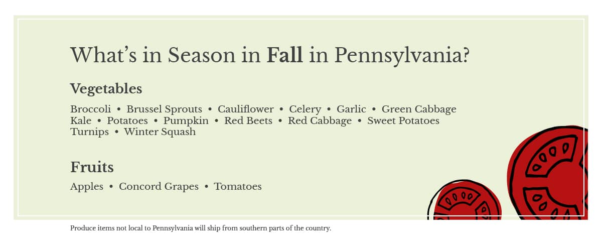 infographic listing seasonal produce in Pennsylvania fall time