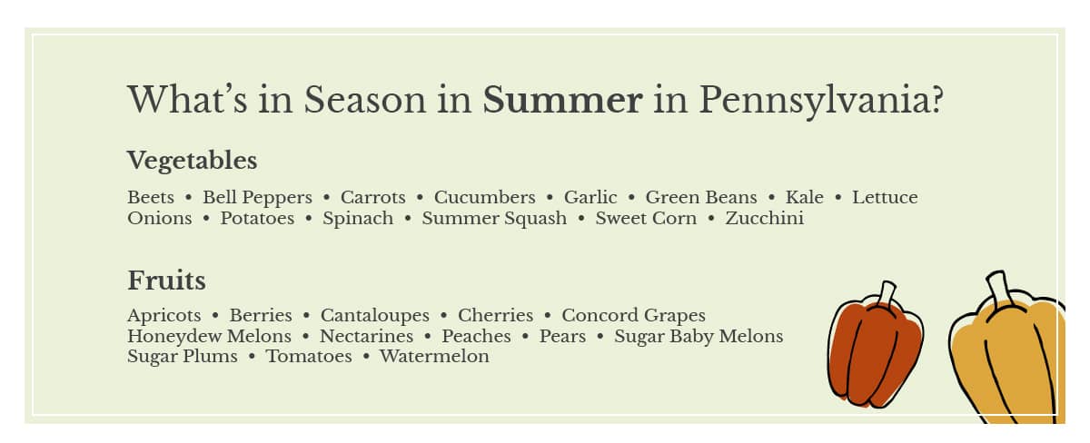 infographic listing in season produce for summer in pennsylvania