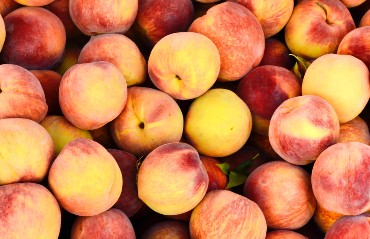 Peach Days August 13, 2024 Markets at Shrewsbury