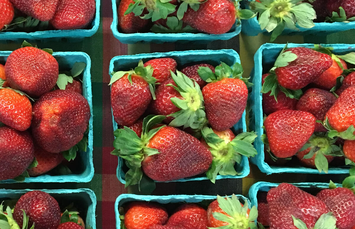 Strawberry Days June 68, 2025 Markets at Shrewsbury