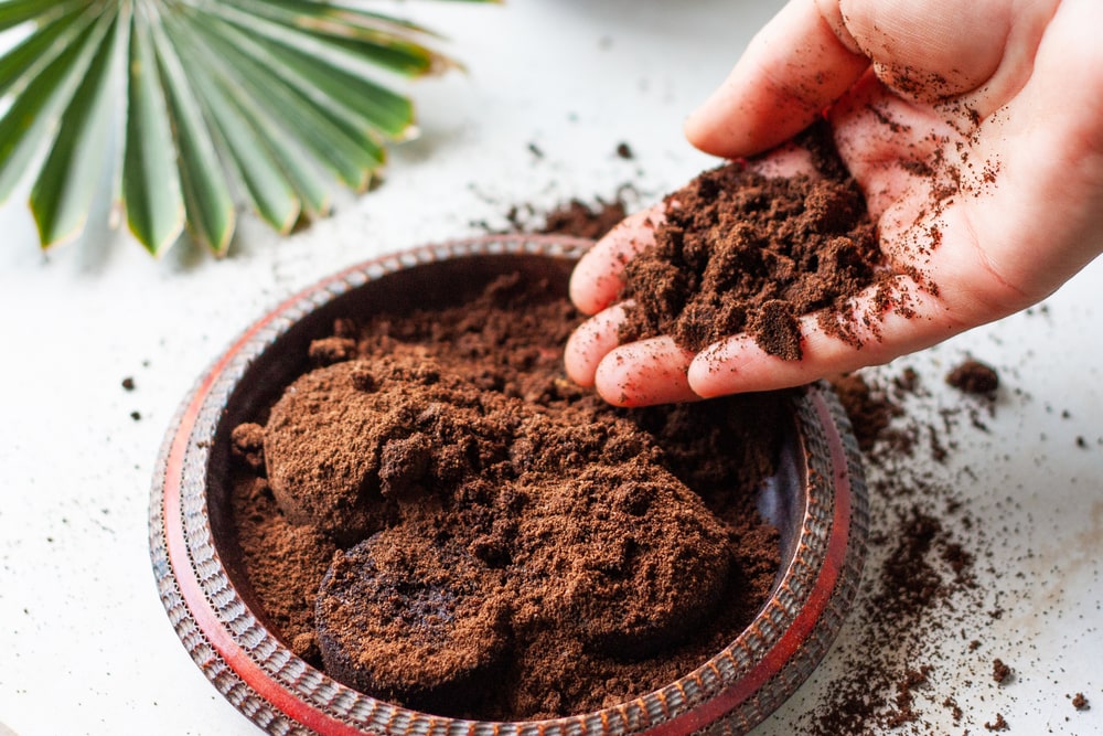 A woman's hand holding and pouring coffee grounds into a bowl