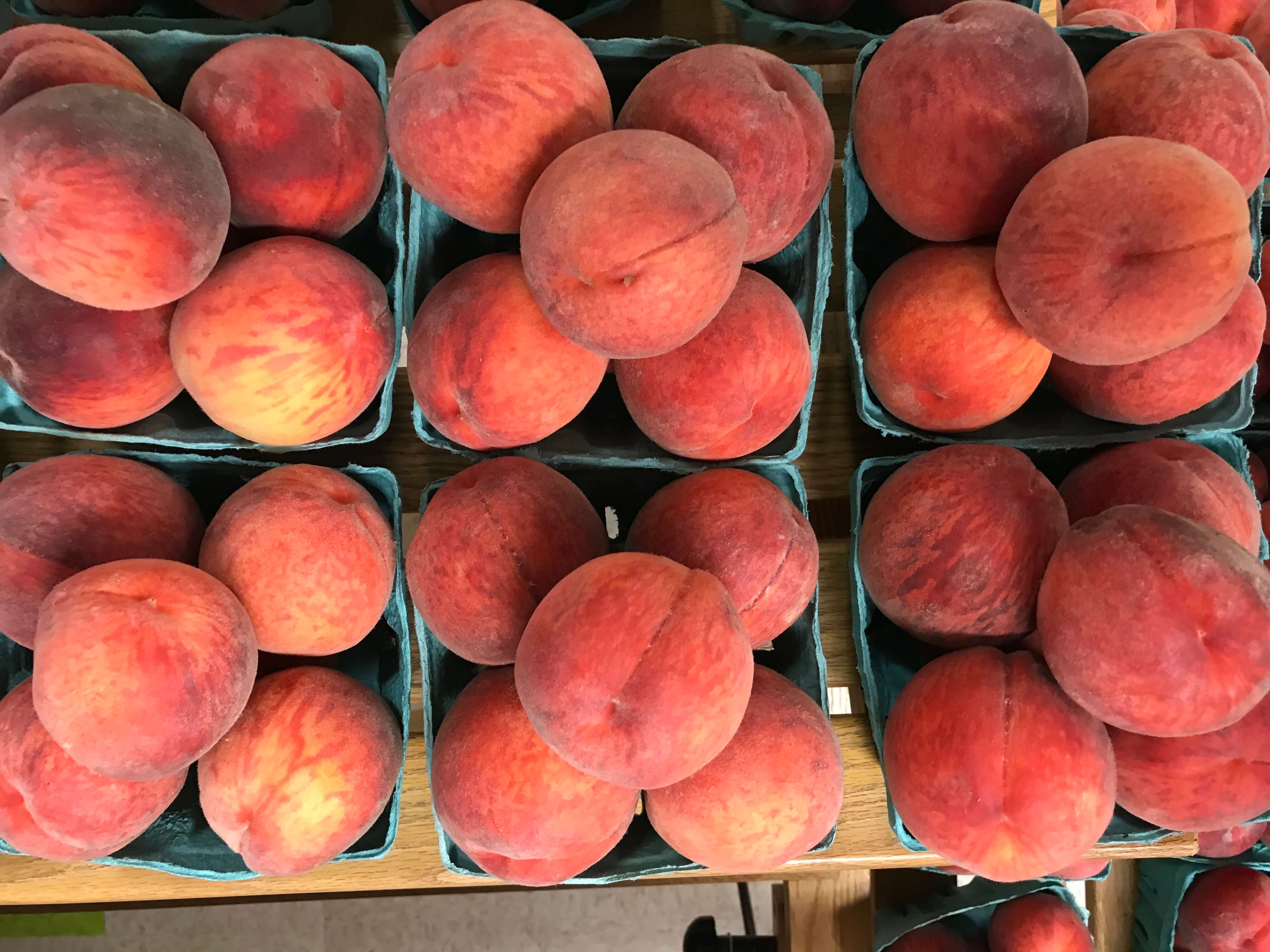 Fresh, Juicy Peaches Grown in Pennsylvania