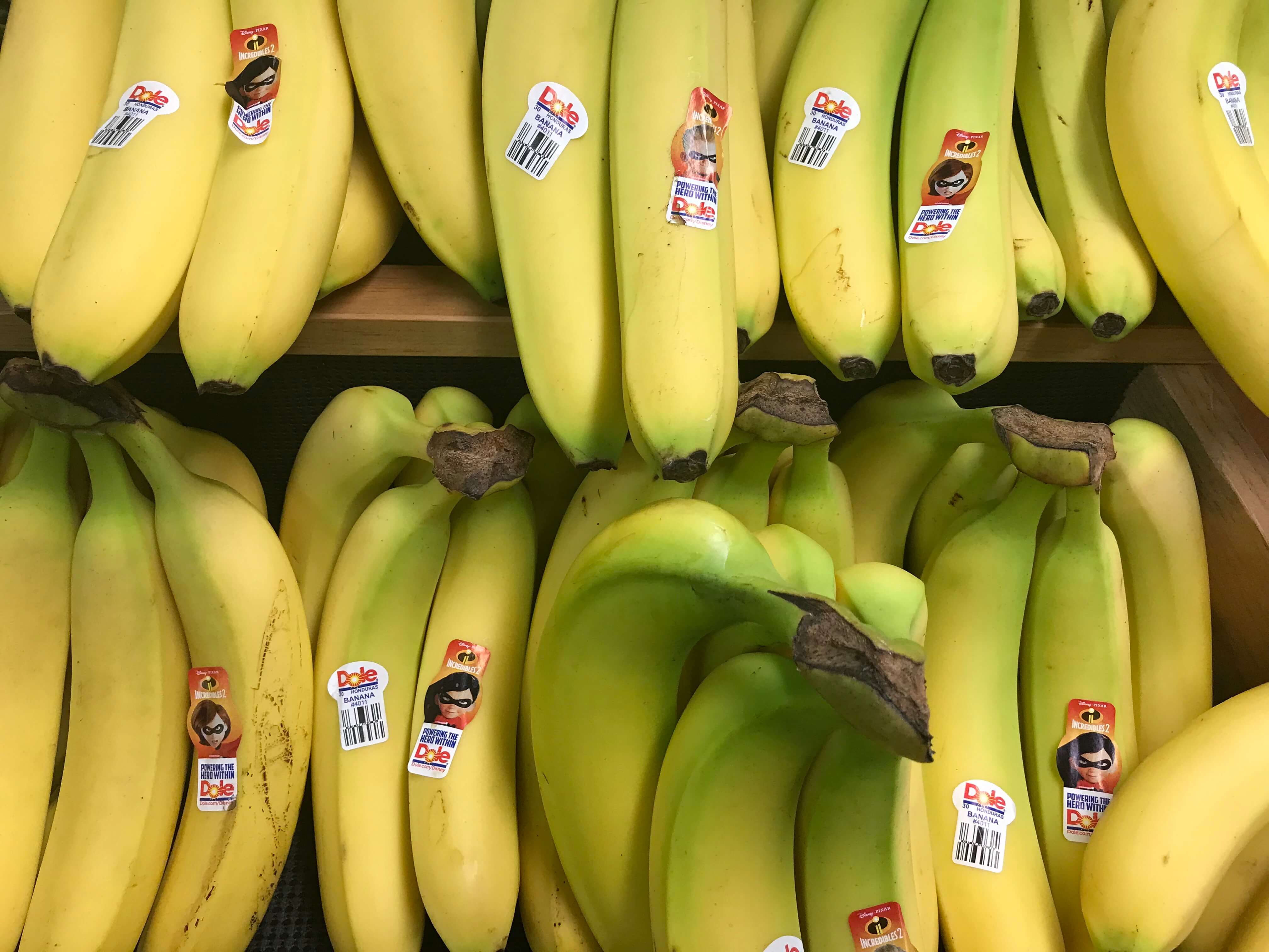 Local Bananas Grown in PA and Sold at The Markets