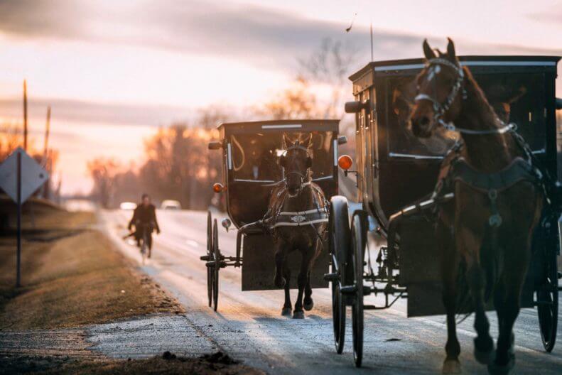 Amish Horse and Buggies on a road at sunset. 