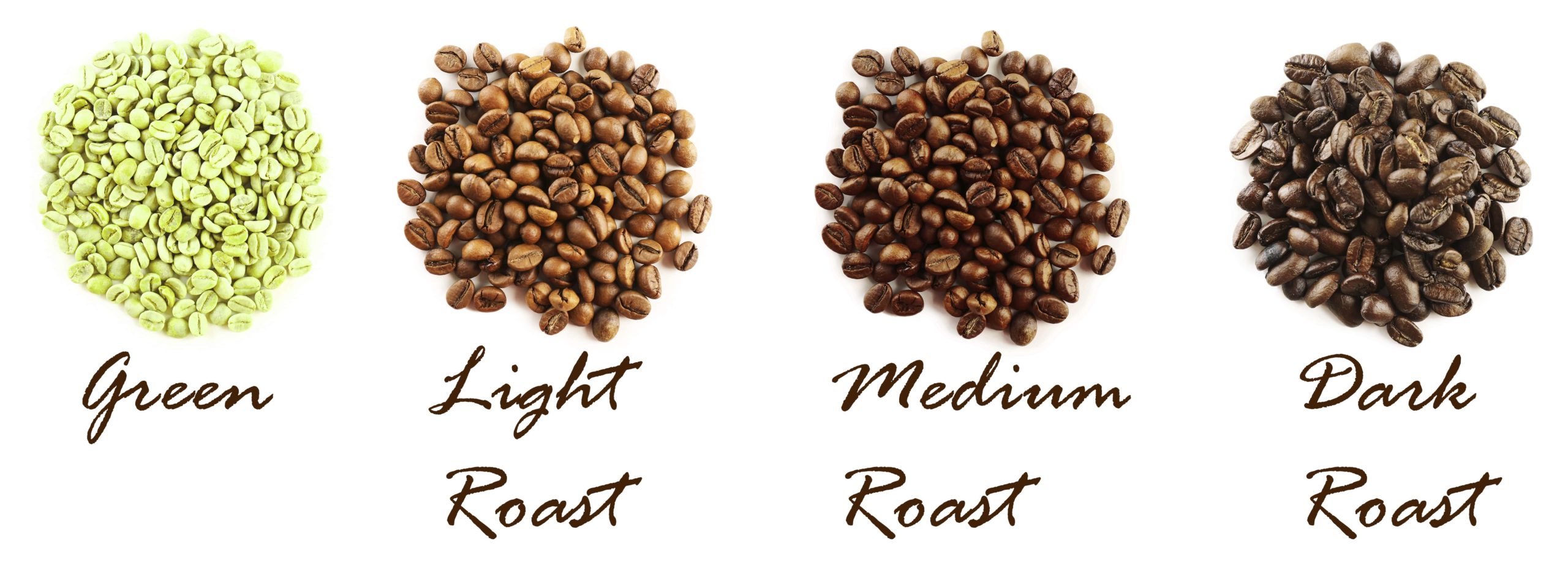 Coffee roasts explained from light to dark.