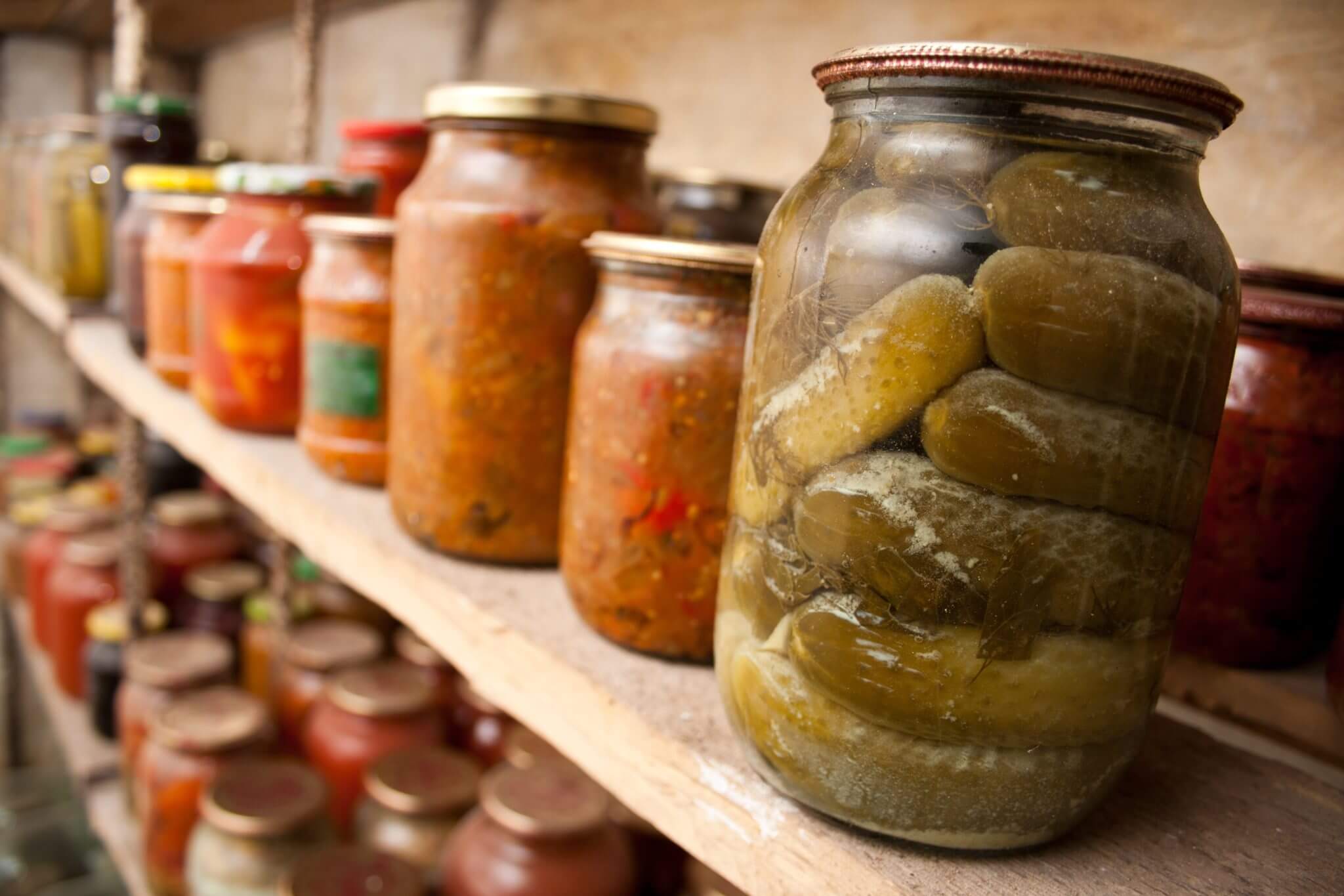 A jar of preserved pickles sits next to other jar goods on basement pantry shelves.