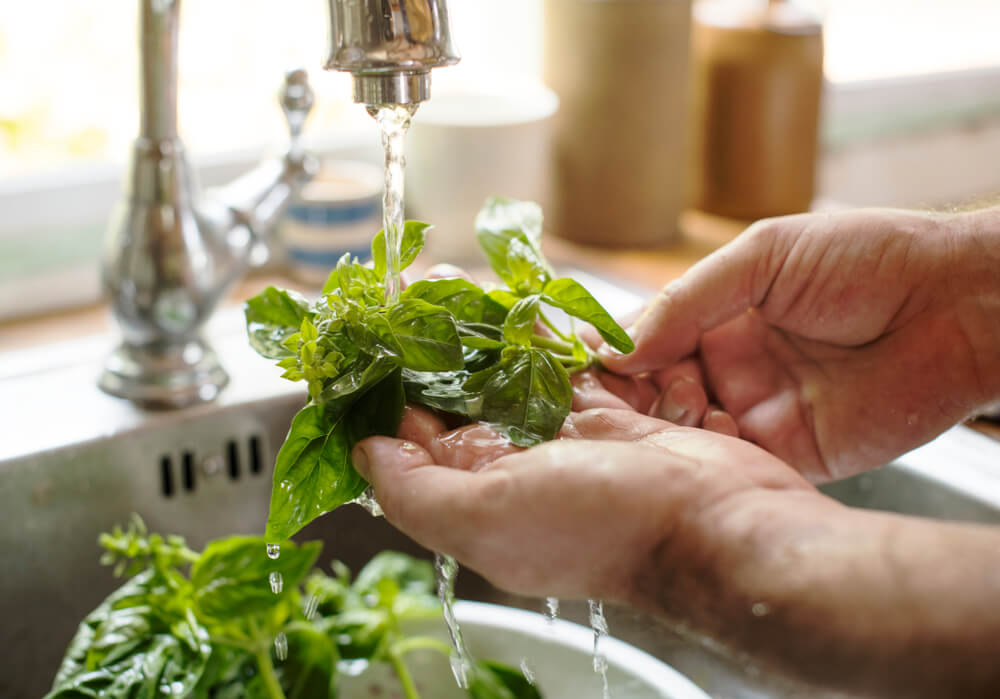 A person washes fresh cut herbs in the kitchen sink.