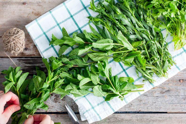 Freshly cut herbs lay out to dry on a tea towel.