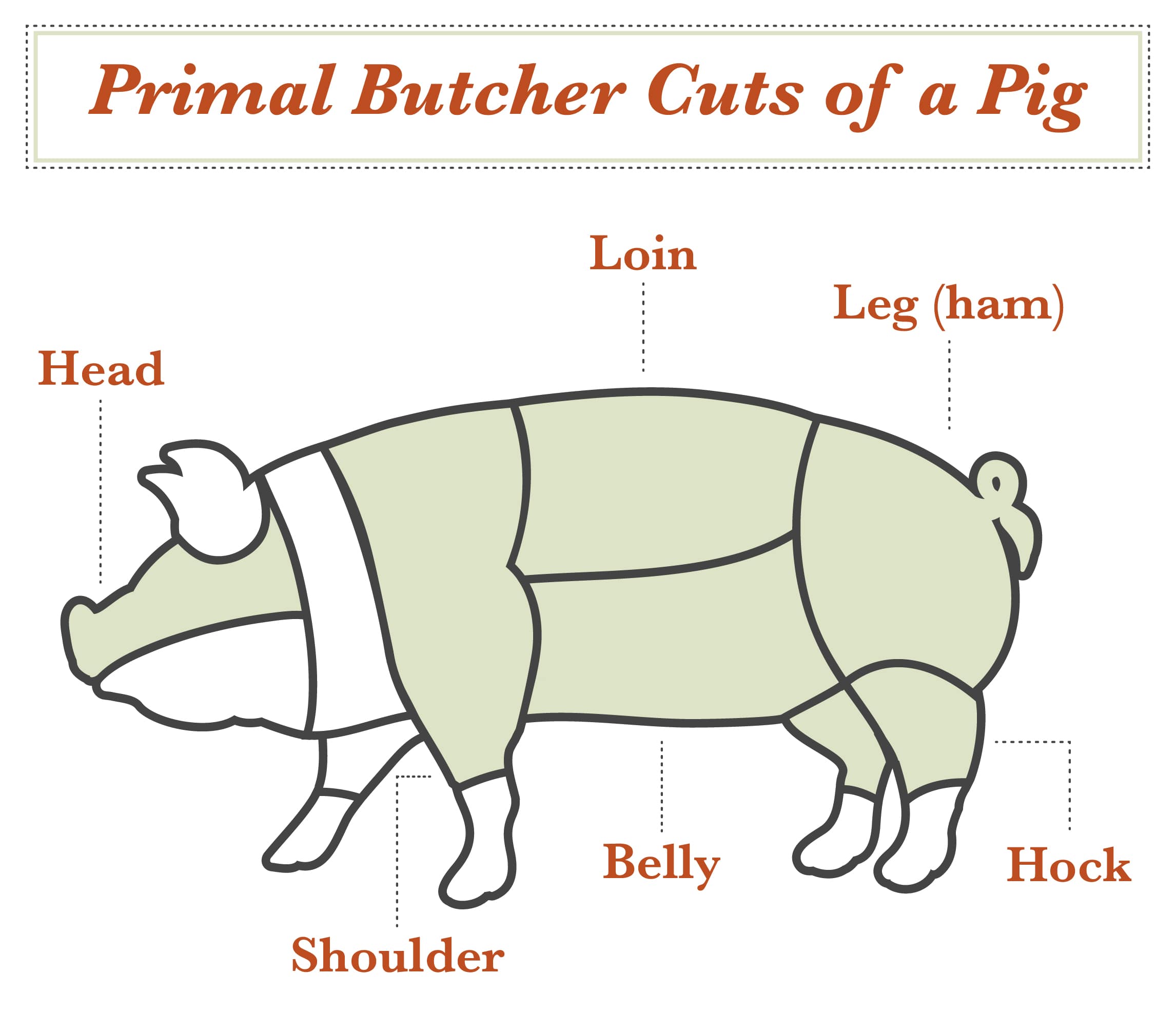 A pig butcher chart showing the primal cuts of pork.