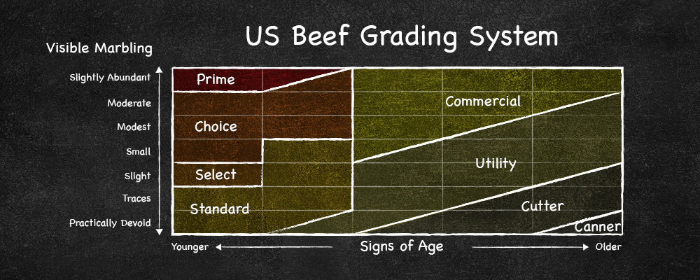 A chart showing the 8 grades for US beef and how they fall.