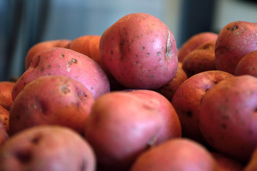 Closeup of red potaotes