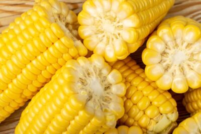close up of sweet corn on the cob